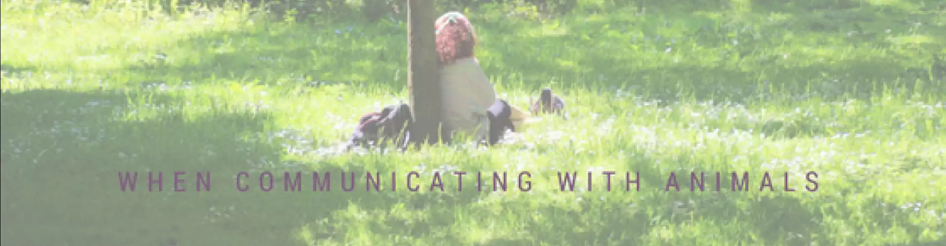 REPEAT: Self-Care When Communicating With Animals  - Online Class by Janet Roper