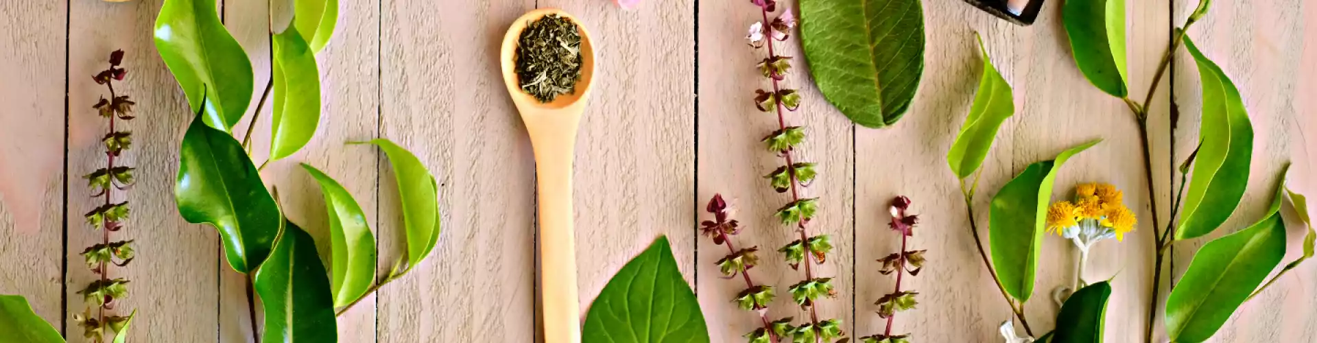 Mga Pangunahing Kaalaman sa Ayurvedic Herbalism