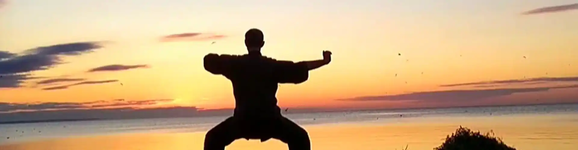 8 İpek Brokar ile 1 saatlik Qigong - Online Class by Cassaundra Paolini