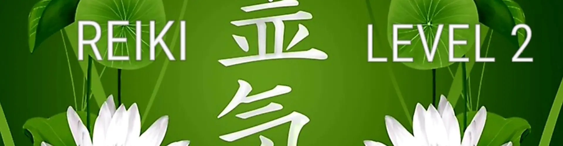 靈氣2級 - Online Class by Cassaundra Paolini